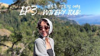 Ep 3 와이너리 1 / 친구들끼리 여행 / 와이너리 예약방법