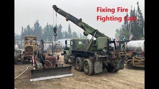 Fixing Fire Fighting Cats as the Forest Fire Comes Back June 06 2025