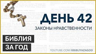 День 42: Законы нравственности – «Библия за год» с о. Майком Шмитцем