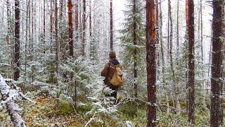 Охота по первому снегу. Тулан в крови. Идём к избе у ручья. 17 серия /ВТОРАЯ ИЗБА ОСЕНЬ 2022/