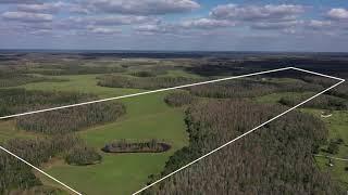 Lane Ranch - 159 +/- Acre Ranch FOR SALE in Polk City, Florida