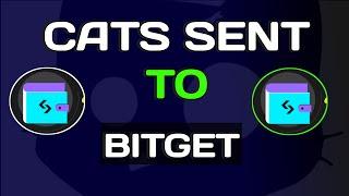 Cats Airdrop Claimed To Bitget Exchange