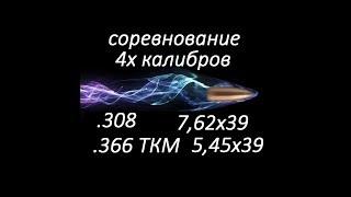 соревнование 4х калибров 308, 7.62х39, 366ТКМ, 5.45х39