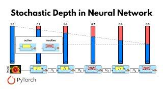Stochastic Depth for Neural Networks Explained