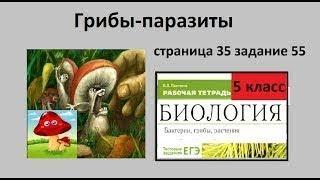 Таблица/Грибы паразиты №55 (Биология 5 класс)