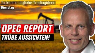 Kurssturz bei WTI und Gas: Wie tief kann es gehen?