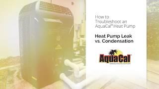 Heat Pump Leak vs Condensation