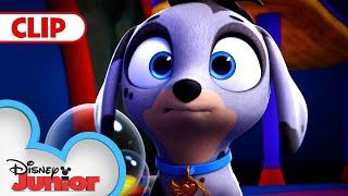 Super-Duper Switcheroo | T.O.T.S. | @disneyjr