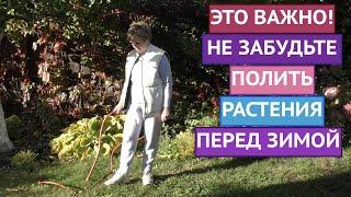 ПОЧЕМУ ВАЖНО ПОЛИТЬ РАСТЕНИЯ ОСЕНЬЮ И КАК ПРАВИЛЬНО ЭТО СДЕЛАТЬ!