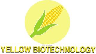 Exploring Yellow Biotechnology: Revolutionizing Industrial Processes (6 Minutes Microlearning)