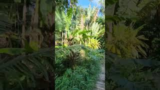 Leu Gardens in Orlando, Florida - Check for free admission days that are available each year!