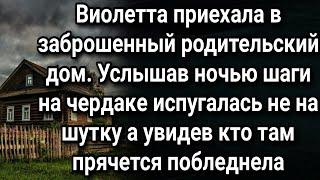 Услышав шаги на крыше родительского дома, Виолетта побледнела увидев кто там прячется...