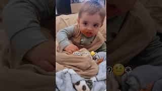 Why Is My Son Having A Meltdown