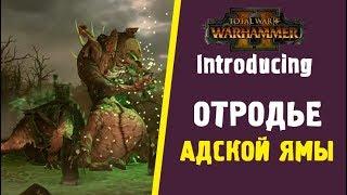  Total War WARHAMMER 2  Отродье Адской Ямы (Hell Pit Abomination) - на русском