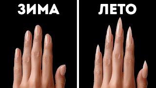 Удивительные факты о теле, которые вы не забудете завтра