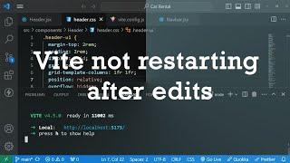 Fix: Vite App Server not Restarting after Editing Code