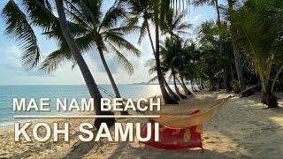 Mae Nam Beach - Beautiful sandy beach with many palm trees - Koh Samui - 4K