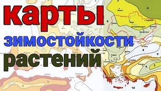 Морозостойкость растений, что это? Карты зимостойкости растений для России и Украины