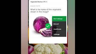 Vegetable Names (pt.1) . in hich quiz app answers help tech view