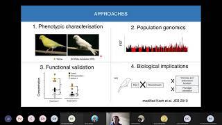 ISYEB SEMINAIRE "M.Gazda sur "Genetic basis of carotenoid coloration in birds"