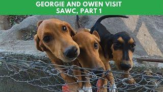 Georgie and Owen Visit SAWC (Part 1)