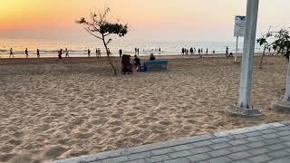 Ras al Khaimah,flamingo beach