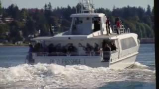 Fast ferries and our future
