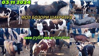 МОЛ БОЗОРИ ШАХРИТУЗ. 03, 11, 2024 МРХАМАТ