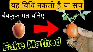 सतर्क रहें  । आजकल नकली विधि से पौधे बना रहे है || Fake Plant Propagation Method