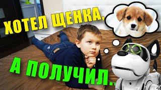 Купили собаку!? Моя собака РОБОТ по имени PupBo от Silverlit // КАК Я ДРЕССИРУЮ свою СОБАКУ?