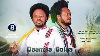 DAAMAA GOLAA OROMO  MUSIC BY ShIMALLIS ABBAABBUU & ABARRAA BEEGII