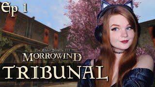 STARTING TRIBUNAL! | Morrowind [Modded] S4 Ep 1