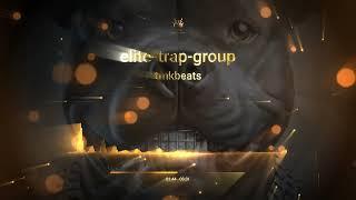 Trap Type Beat Instrumental-"elite trap group" #newbeats #typebeat #freebeats #beatstars #trapbeat