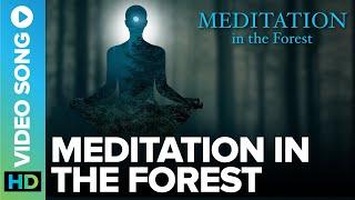 Meditation In The Forest || Inner Voice || Anand Kurhekar || Eros Now Spiritual