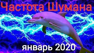 Мега рост Частоты Шумана Резонанс за январь 2020года все даты.Schumann frequency Schumann resonance