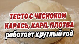 ТЕСТО ДЛЯ РЫБАЛКИ С ЧЕСНОКОМ НА КАРАСЯ. РАБОТАЕТ КРУГЛЫЙ ГОД ! Проверено !!