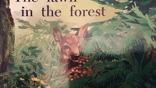 The fawn in the forest