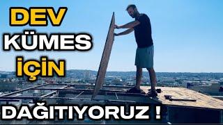 DEV GÜVERCİN PROJESİ İÇİN 4 YILLIK KÜMESİMİ DAĞITTIM ! Part 12