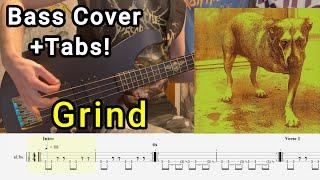 Grind - Alice in Chains - Bass Cover by James Fulgieri