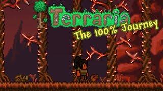 This is going to take forever | Terraria 100%