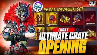 Wrath of Vengeance | Feral Ravager | Abyssal Howl AUG Full Maxed | EEGBB