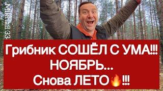 Самая НЕОЖИДАННАЯ  находка ноября!!! Машина времени перенесла грибника в лето!!! Это полный ШОК!!!