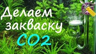 Лучший рецепт закваски CO2 для газогенератора!