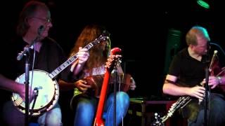 The Flying Toads - Trip to Cullenstown