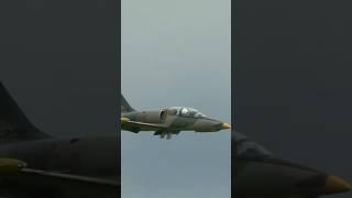 Large L-39 Albatros Jet Turbine RC in Low Pass