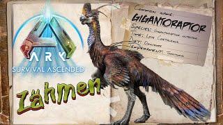 GIGANTORAPTOR ZÄHMEN [GUIDE/Deutsch] ARK Survival Ascended ASA