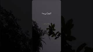 Beautiful Islamic lyrics by doctor israr Ahmad  hearttouching trendy Trends ️ hashtags