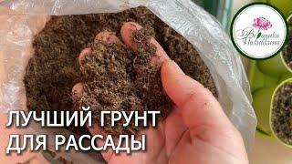 ЛУЧШИЙ ГРУНТ ДЛЯ РАССАДЫ