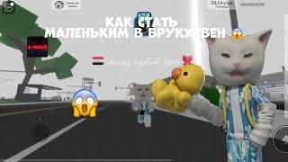 КААК СТАТЬ МАЛЕНЬКИМ В БРУКХЕВЕН *РАБОТАЕТ *