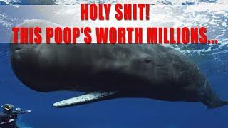 HOLY SHIT ! THIS POOP'S WORTH MILLIONS | SPERM WHALE | NAURU | BIRDPOOP | AMBERGRIS | WHALE VOMMIT